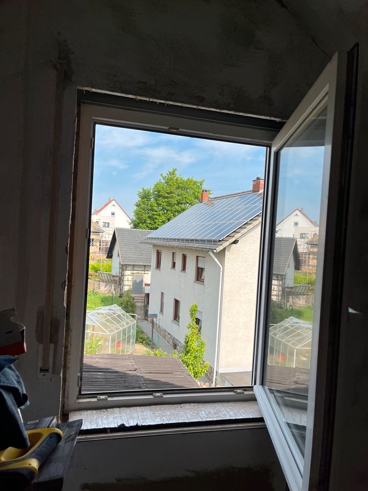 Fenster PAX in Borgentreich