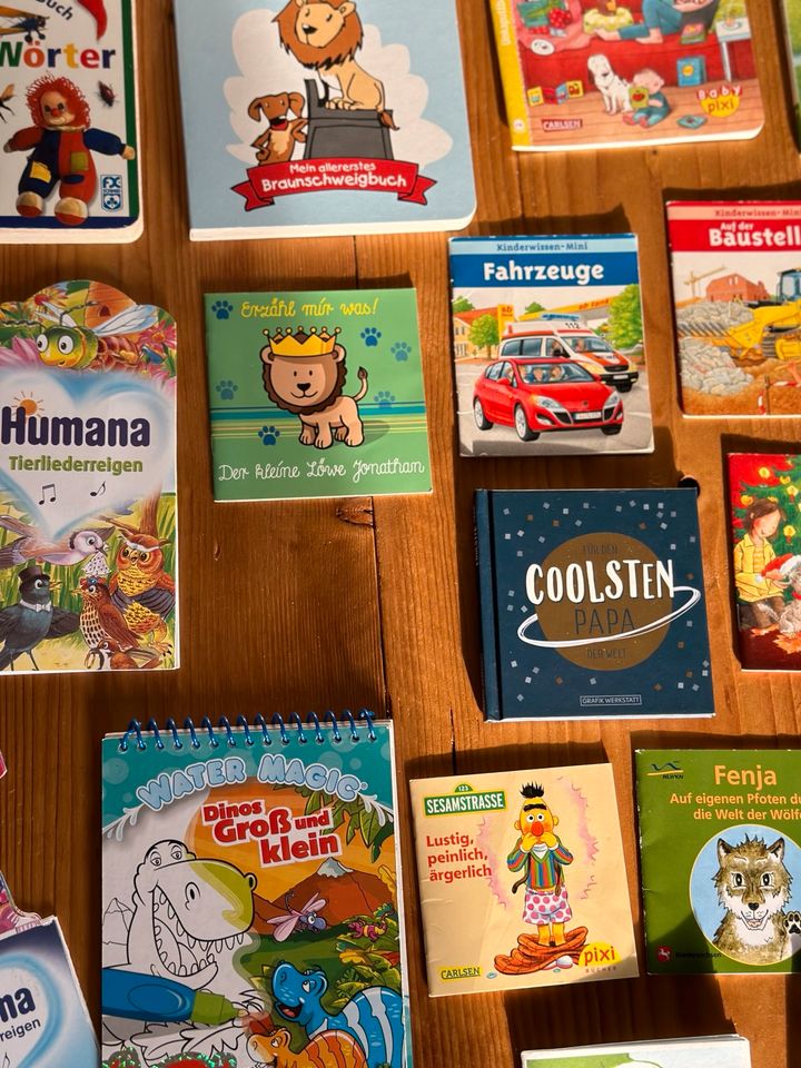 Versch.kleine Kinderbücher ab 0,20€-1,2,3€, Bücher, Buch Pixi in Braunschweig