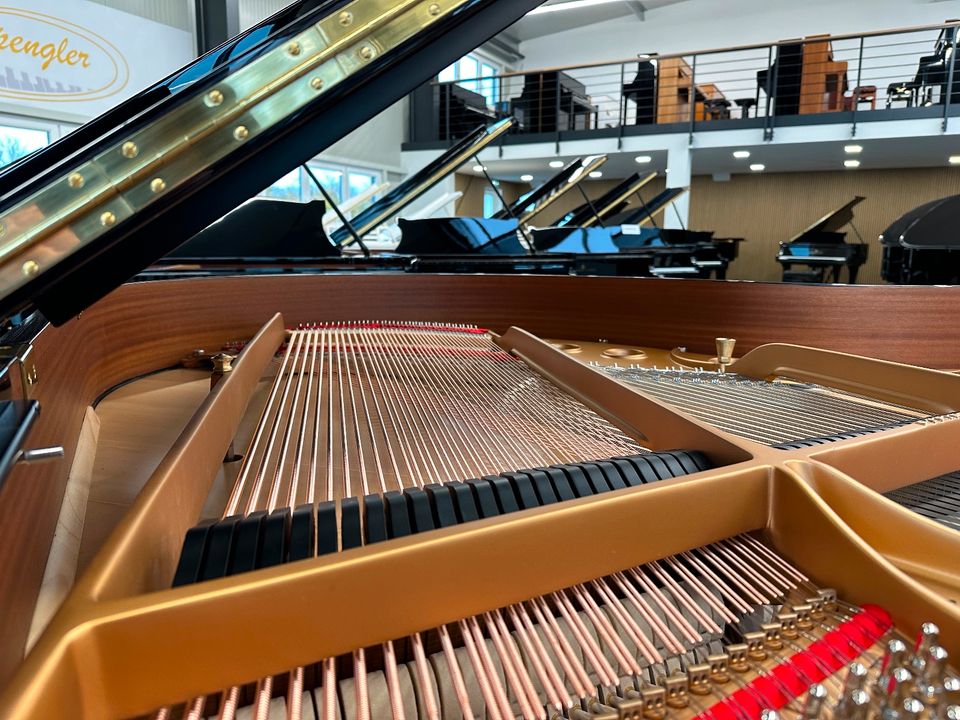 Steinway & Sons Flügel, Mod. S-155, Generalüberholt, 5 J.Garantie in Swisttal