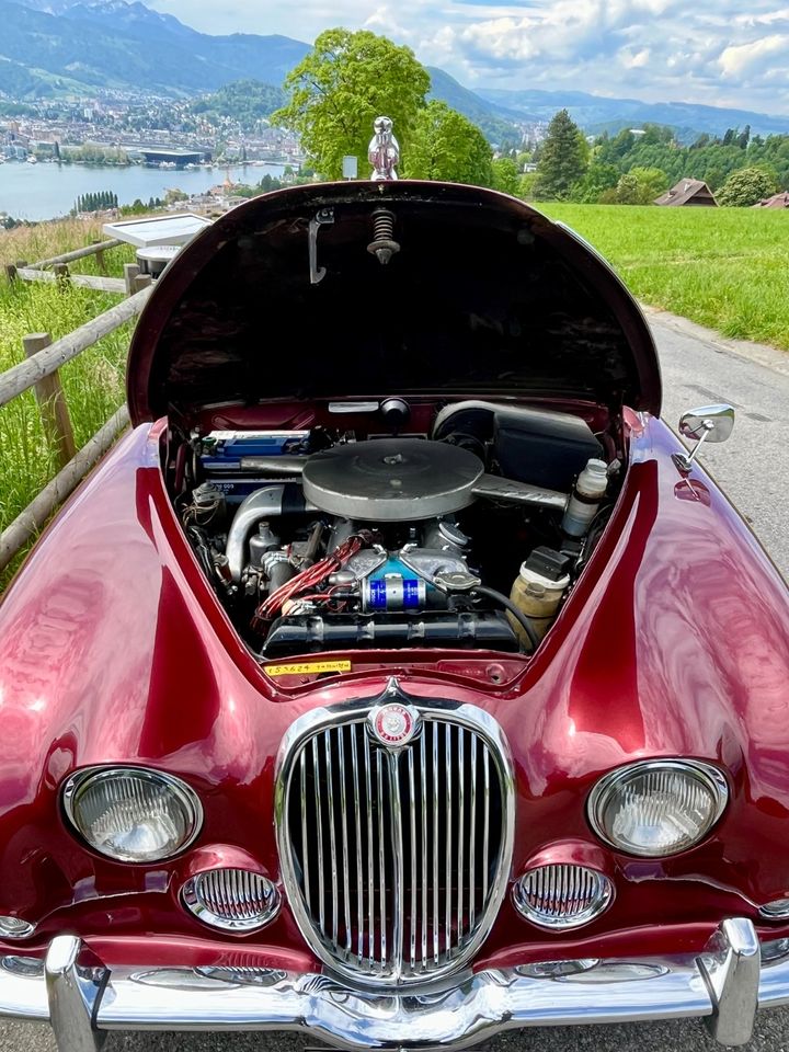 Jaguar MK2 "S" Type in Lörrach