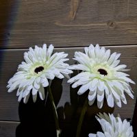 Weiße Gerbera künstlich Kunstblume 4 Stück Hessen - Eschenburg Vorschau