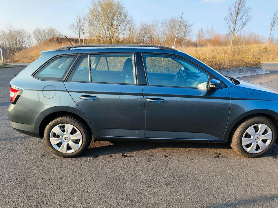 Skoda Fabia in Heilbad Heiligenstadt