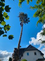 Baum schneiden , Baumfällung, Baum Klettern, Baum fällen Nordrhein-Westfalen - Spenge Vorschau