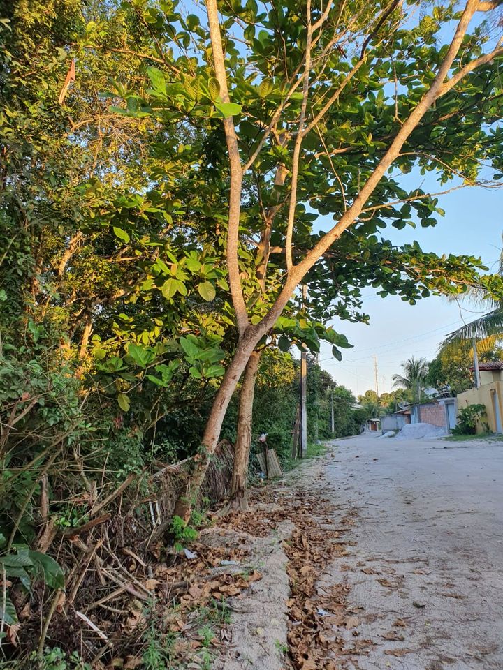 Grundstück in Brasilien/ Südbahia, Cabrália, nähe Porto Seguro. in Seevetal