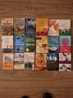 Bücher Romane u.a. ca. 40 Stück Berlin - Steglitz Vorschau