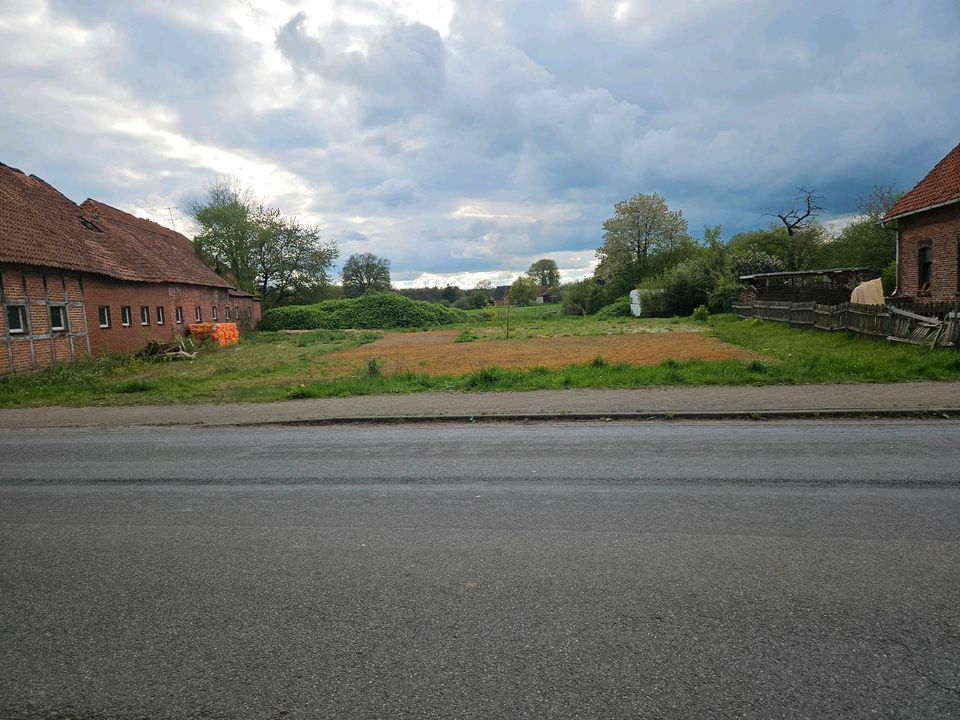 Grundstück zu verkaufen in Rodewald