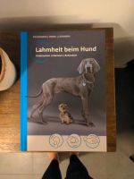 ❌ Buch: Brunnberg - Lahmheit beim Hund Hessen - Gießen Vorschau