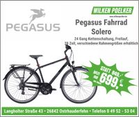 Pegasus Solero SL Trekkingrad schwarz Herren 24 Gang mit Freilauf Niedersachsen - Ostrhauderfehn Vorschau