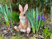 Deko Hase lustig sitzend Osterhase Innenbereich oder Außenbereich Rheinland-Pfalz - Waldbreitbach Vorschau