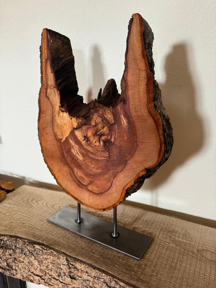 Baumscheibe Holz - Metall Skulptur in Illertissen