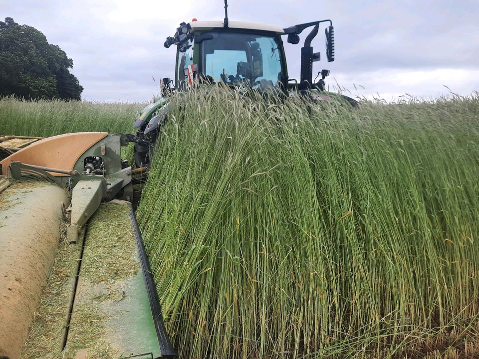 Krone B 1000 CV COLLECT Mähwerk mit Schwadzusammenführung in Leutershausen