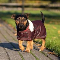 Hundedecke Softshell bordeauxrot und schwarz versch.Größen Baden-Württemberg - Aldingen Vorschau