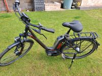 Bergamont E-Bike, Rücktritt, tiefer Einstieg Rheinland-Pfalz - Kinderbeuern Vorschau