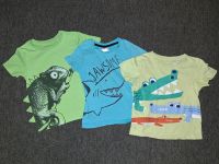 3 T-Shirts, wie Gr. 92, C&A, Hai Krokodil Chamäleon, €1,50 Nordrhein-Westfalen - Mülheim (Ruhr) Vorschau