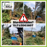 Sturmschaden Baumkletterer Baumpflege Baumfällung Baumarbeiten Hessen - Ludwigsau Vorschau