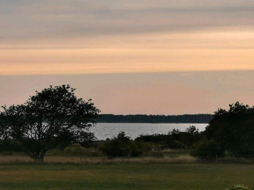 Südschweden* Kalmar * Insel Öland * Ostsee * Wald vor der Tür in Marienfließ