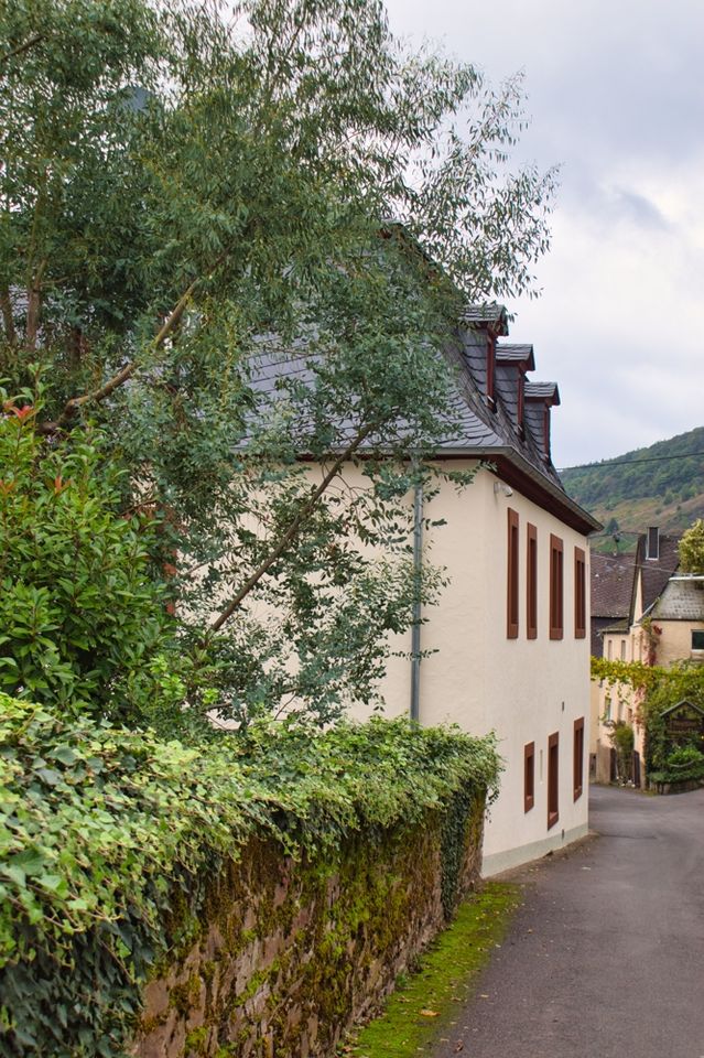 Giovane vita in vecchie mura nel monumento culturale Mettlacher Hof, ex parrocchia Burg in Burg (Mosel)