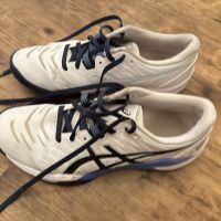 Handball oder Volleyball Schuhe Gr. 40 Asics Baden-Württemberg - Wäschenbeuren Vorschau