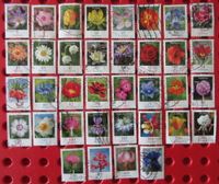 36 Deutsche Briefmarken mit Blumen drauf Blumengrüße Schleswig-Holstein - Glinde Vorschau