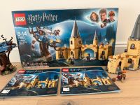 *LEGO HARRY POTTER 75953*Die peitschende Weide von Hogwarts Hessen - Langen (Hessen) Vorschau