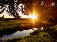 Wohnen auf dem Land in Bramsche, Seeste, Wersen, Westerkappeln Niedersachsen - Bramsche Vorschau