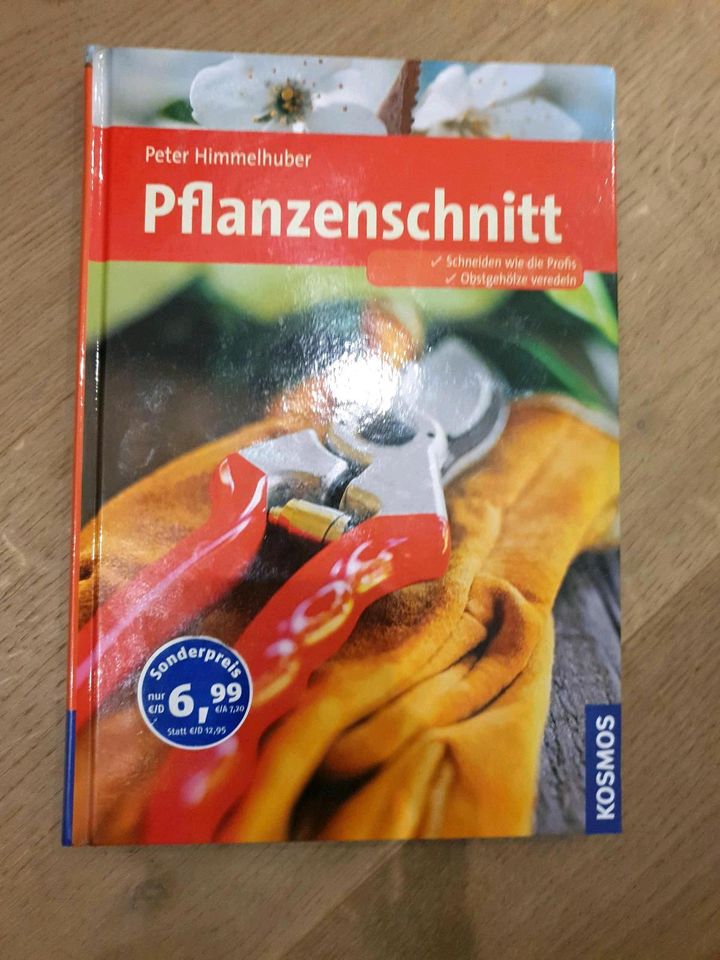 Pflanzenschnitt Peter Himmelhuber in Ingelheim am Rhein