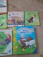 Bücher, Kinderbücher, Pixi Bücher Nordrhein-Westfalen - Bad Wünnenberg Vorschau