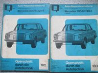 Bucheli Nr 182/183 Mercedes W114 200/220 /8 Benziner Handbuch Nordrhein-Westfalen - Alsdorf Vorschau