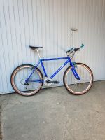 niaGara ZR600 Retro MTB Kult Vintage Gravelbike 26“ Commuter Bayern - Coburg Vorschau