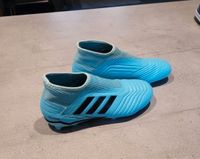 Adidas Predator Fußballschuhe blau Gr. 37 1/3 -wie NEU- Nordrhein-Westfalen - Waldfeucht Vorschau