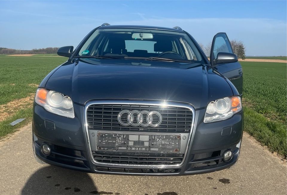 Audi A4 B7 in Bernstadt