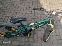 Kinderfahrrad Scool Junior Bikes 20er Sachsen-Anhalt - Allstedt Vorschau