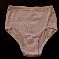 NEU 4x weiß Damen Schlüpfer Unterhosen  Gr M 40 / 42 Sachsen - Kamenz Vorschau