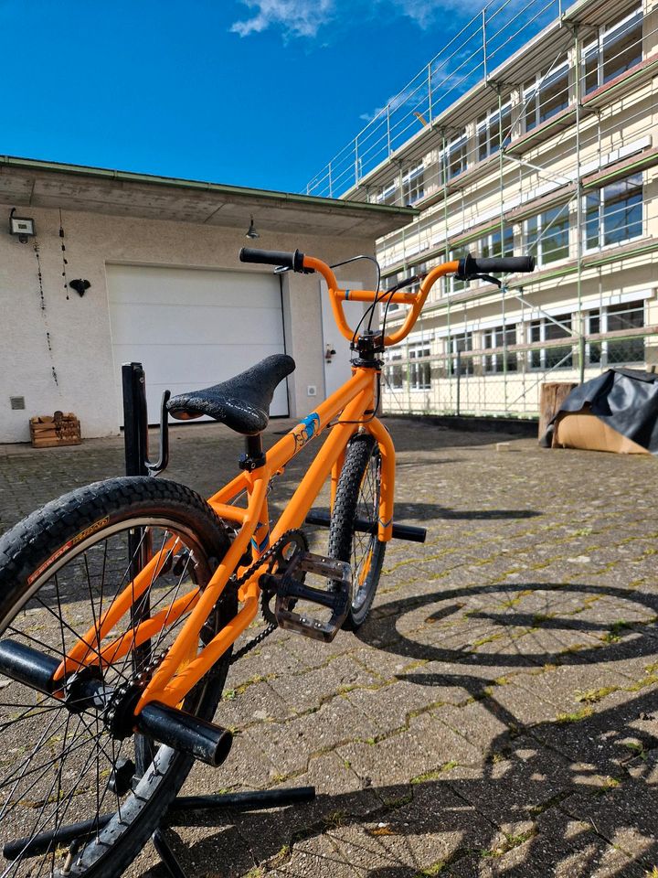 BMX - Scott BMX - 20 Zoll - guter Zustand in Niedernhall