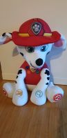 Paw Patrol Marshall liest vor Baden-Württemberg - Asperg Vorschau