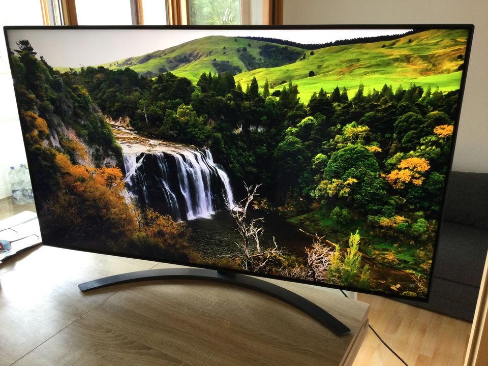 Fernseher LG 55Zoll Smart in Memmingen