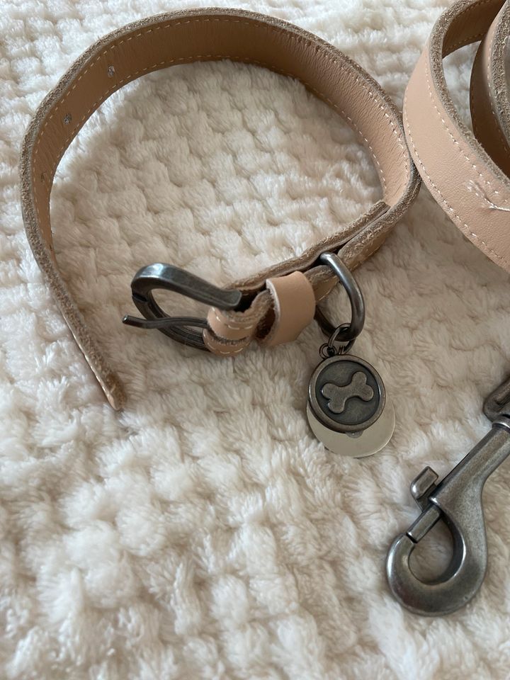 Zara Hunde Halsband Leine Hundeleine Leder beige S in Herzogenaurach