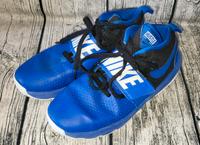 Nike Team Hustler D8 (TD)  Sportschuhe Laufschuhe gr.40 Top Sachsen - Käbschütztal Vorschau