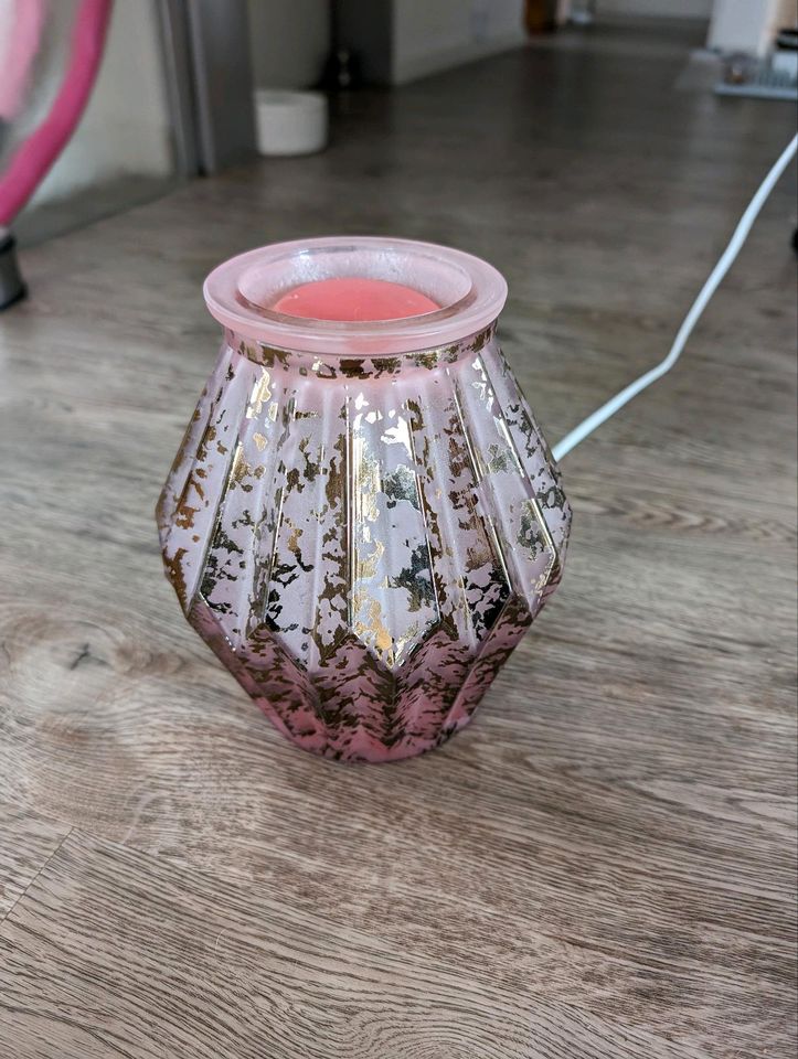 Scentsy Lampe Mirrored Rose Duftlampe in Pommersfelden