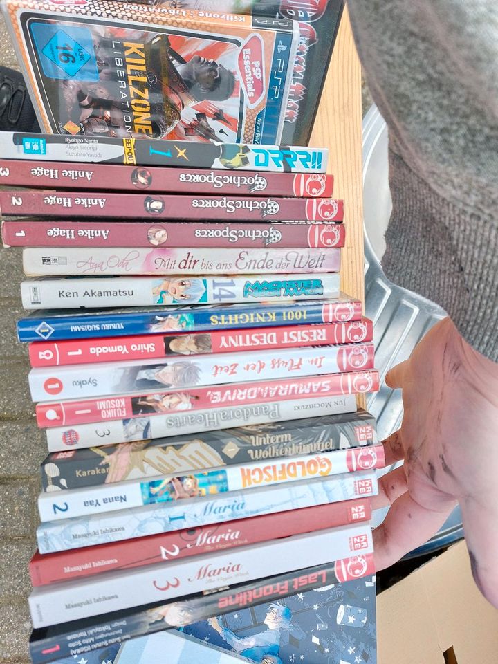 Manga Sammlung in Schwülper