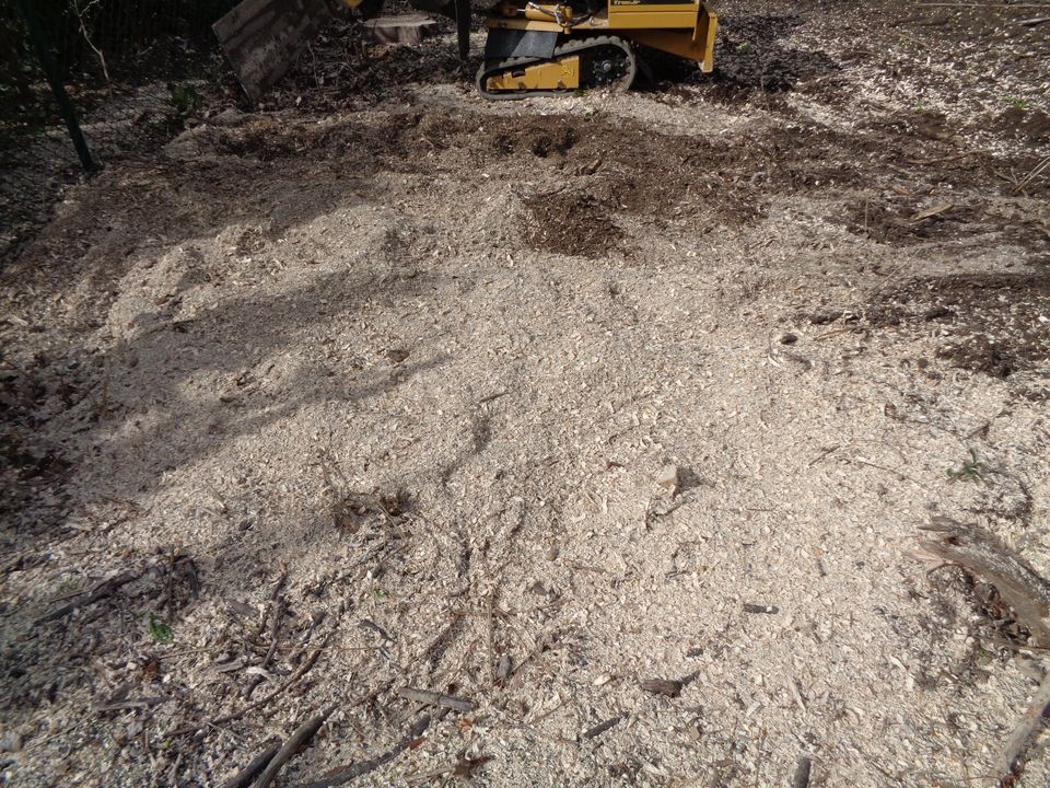 Baumstumpffräsen, Stubbenfräsen, Baumstumpf entfernen, Wurzel in Bergisch Gladbach