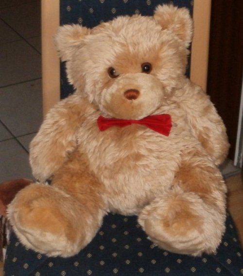 Unbespielter plüschiger Teddybär ca. 50 cm sucht neues Zuhause in Osterrönfeld