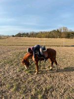 Erlebnisferien auf dem Ponyhof Brandenburg - Zinndorf Vorschau