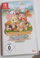 Story of Seasons; Friends of mineral Town Nordrhein-Westfalen - Detmold Vorschau