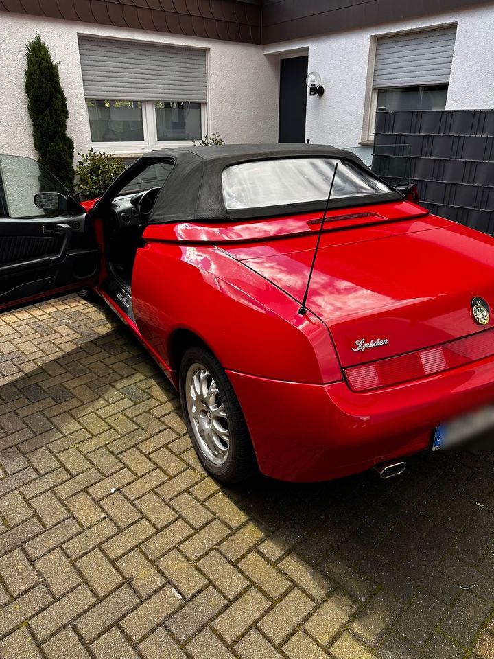 Alfa Spider 916 in Rhede