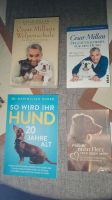 Hundebücher, Hund, Bücher für den Hund und das Herz Baden-Württemberg - Rheinfelden (Baden) Vorschau