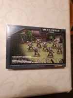 Warhammer 40.000 Death Guard Plague Marines Rheinland-Pfalz - Kirn Vorschau