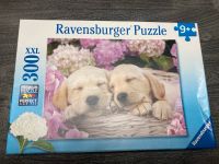 Puzzle 300 Teile Baden-Württemberg - Lörrach Vorschau