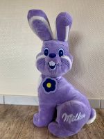 Milka Osterhase Plüsch 75cm XXL Hessen - Vellmar Vorschau