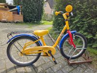 18 Zoll BÖTCHER Kinderfahrrad Wandsbek - Hamburg Farmsen-Berne Vorschau